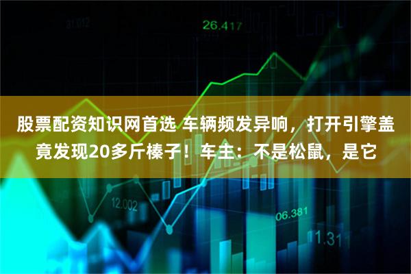股票配资知识网首选 车辆频发异响，打开引擎盖竟发现20多斤榛子！车主：不是松鼠，是它